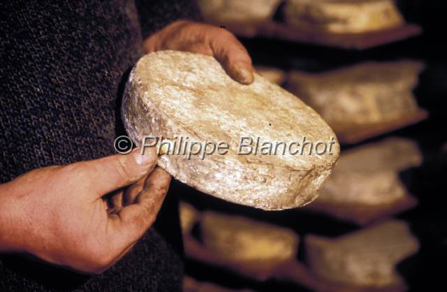 tomme de savoie 20.JPG - Tomme de SavoieTest de maturitéAlpageMassif des BaugesSavoieFrance